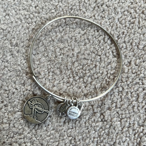 Alex and Ani Bangle Ski - Picture 1 of 1